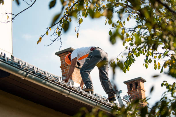 Best Roof Ventilation Installation  in Tladega, AL